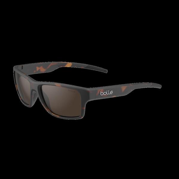 Status Dark Tortoise Matte Brown Polarized